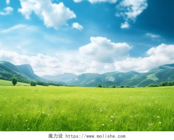 绿色草地山春天清新风景美丽的大自然小野花青草植物